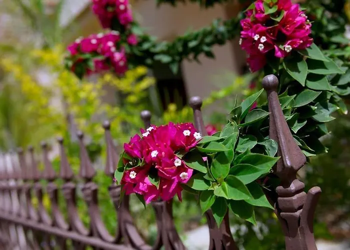 Villa Michelle 8 Protaras