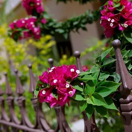 Villa Michelle 8 Protaras